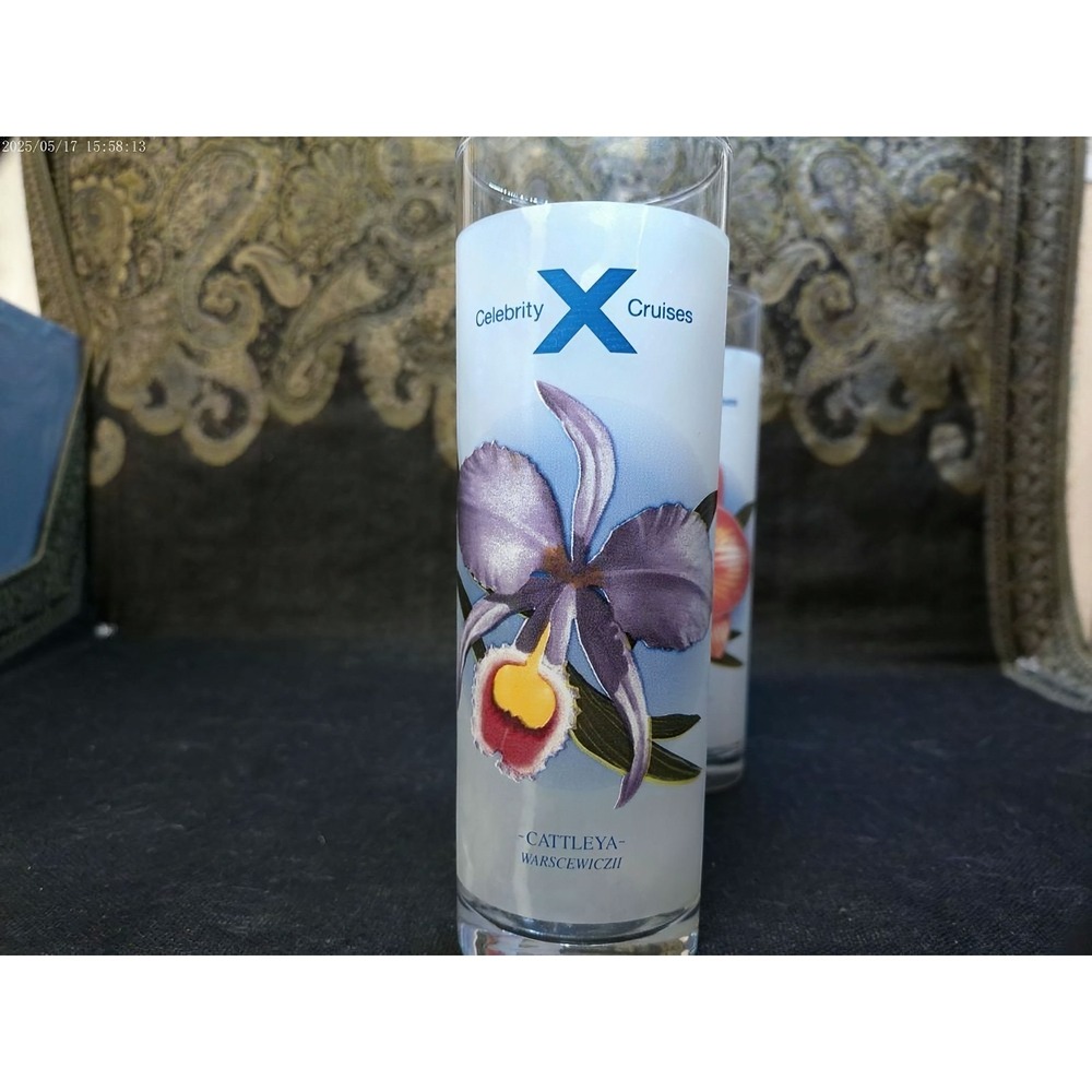 Frosted Cocktail Glasses‎ Celebrity Cruises Vintage Orchid Set Of 2 Glassware - Picture 4 of 11